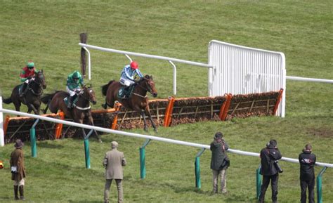 County Handicap Hurdle Preview, Tips, Runners & Trends (Cheltenham.